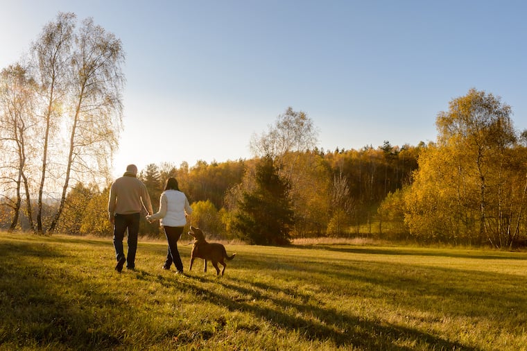 Couple Walking A Dog