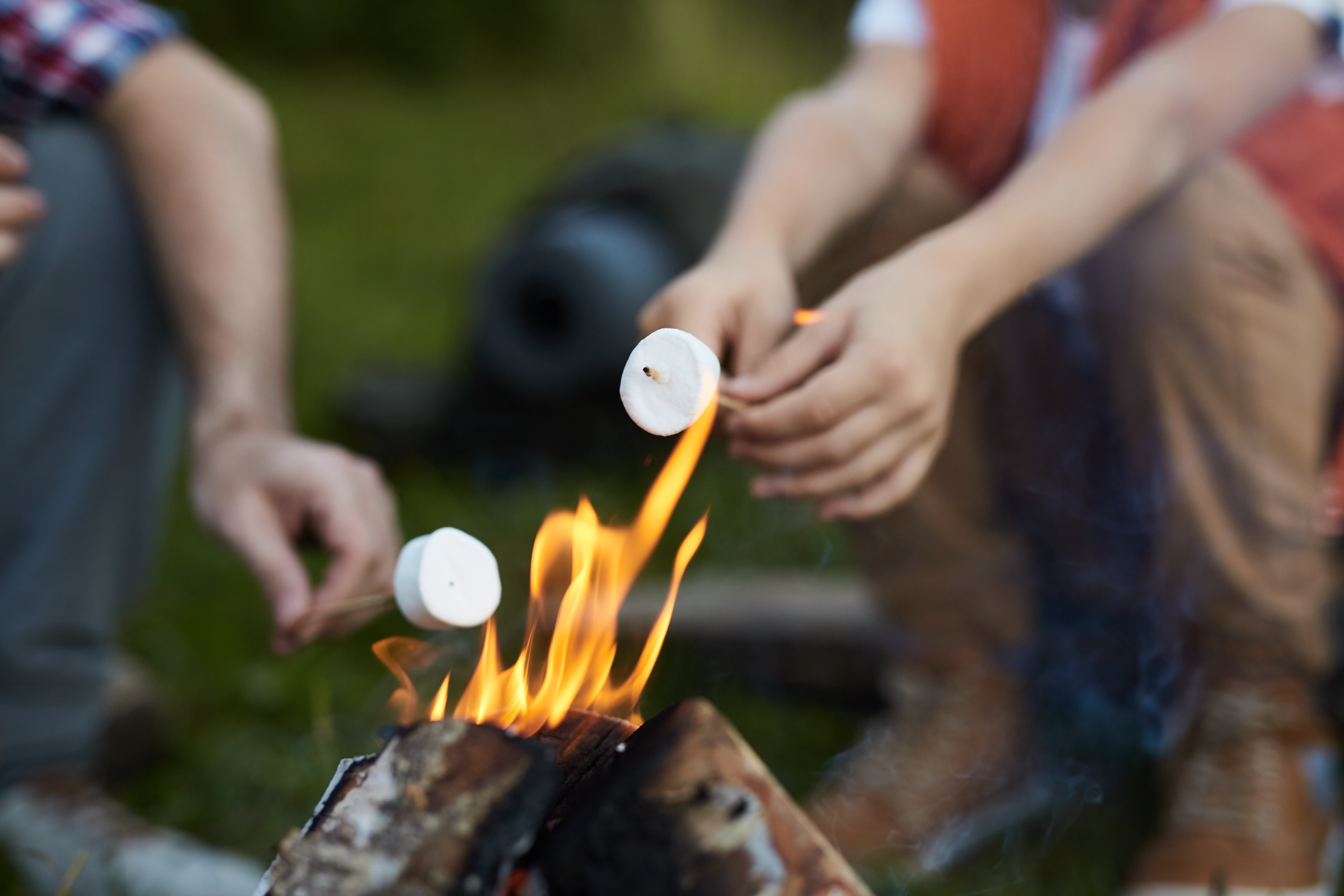 Toasted Marshmellows 